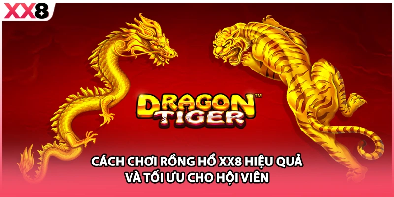Cách Chơi Rồng Hổ XX8 Hiệu Quả Và Tối Ưu Cho Hội Viên