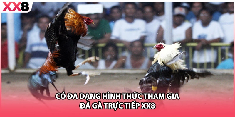 Có đa dạng hình thức tham gia đá gà trực tiếp XX8