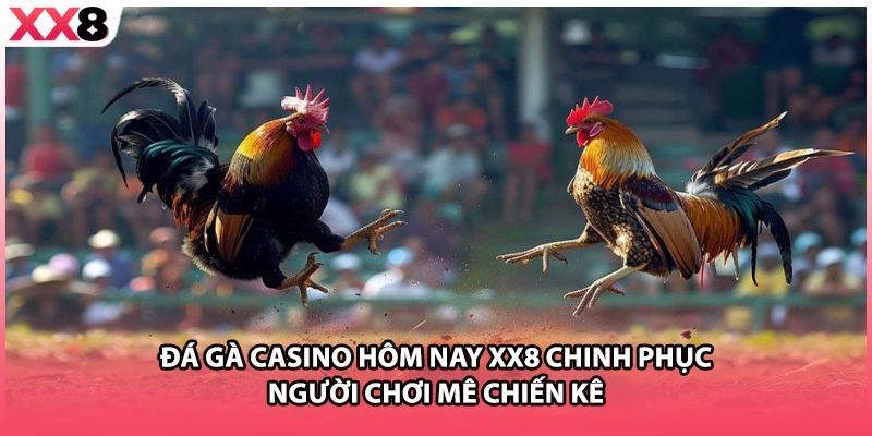 Đá Gà Casino Hôm Nay XX8 Chinh Phục Người Chơi Mê Chiến Kê
