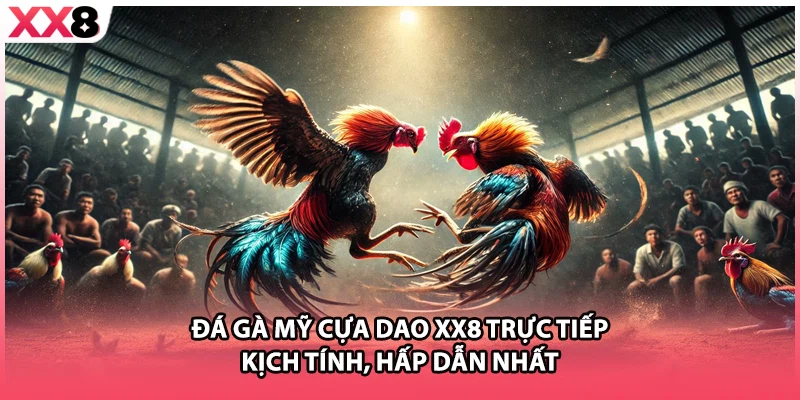 Đá Gà Mỹ Cựa Dao XX8 Trực Tiếp Kịch Tính, Hấp Dẫn Nhất