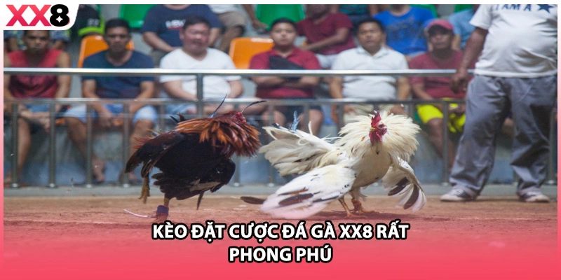 Kèo đặt cược đá gà XX8 rất phong phú